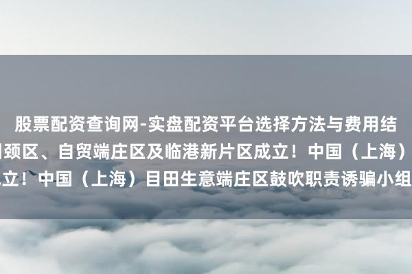 股票配资查询网-实盘配资平台选择方法与费用结构解析 加力鼓吹浦东引颈区、自贸端庄区及临港新片区成立！中国（上海）目田生意端庄区鼓吹职责诱骗小组会议召开