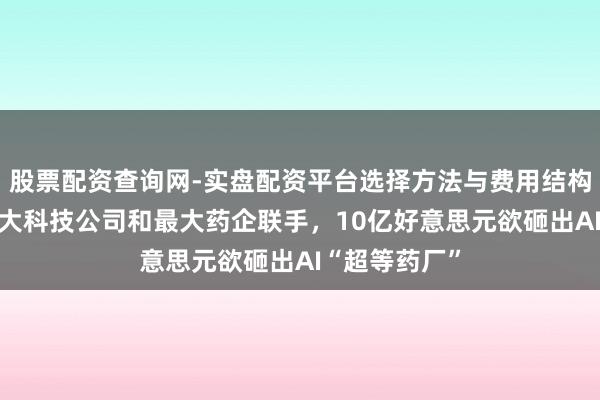 股票配资查询网-实盘配资平台选择方法与费用结构解析 群众最大科技公司和最大药企联手，10亿好意思元欲砸出AI“超等药厂”