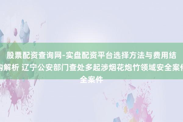 股票配资查询网-实盘配资平台选择方法与费用结构解析 辽宁公安部门查处多起涉烟花炮竹领域安全案件